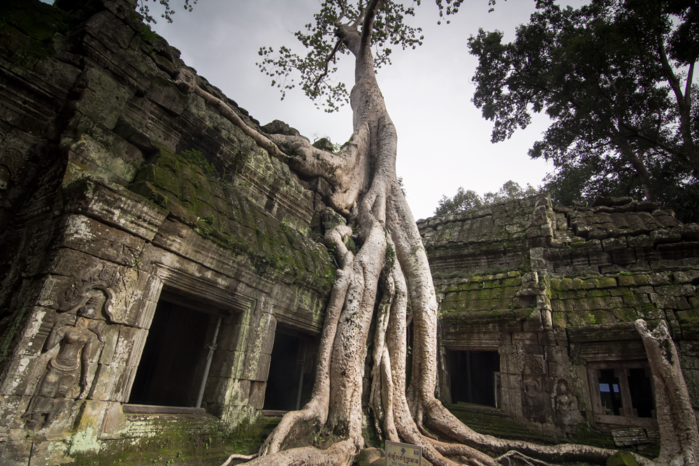 Ta-Prohm